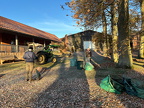 2025-11-22 Backhaus Laubharkaktion bei frostigem Sonnenwetter 003